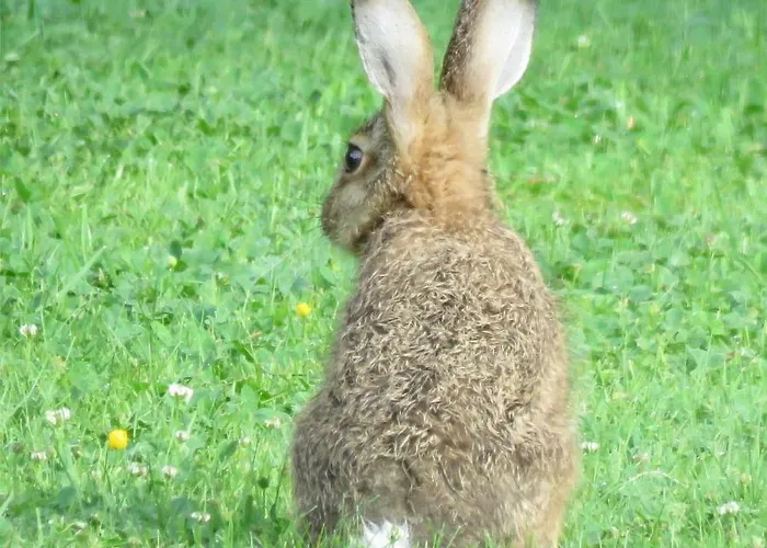 Stadthaus Rothensande Rum i privatbostad *
